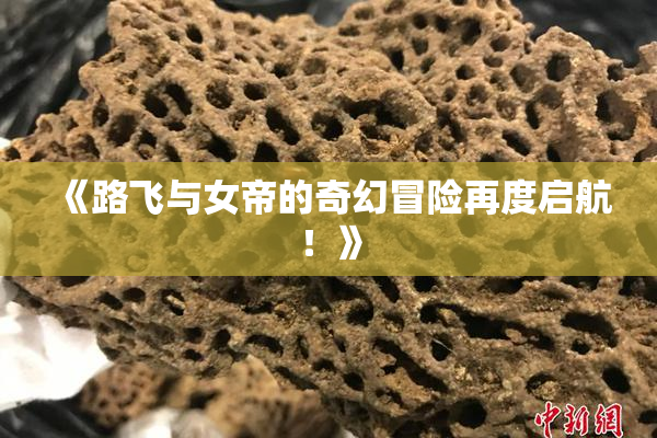 《路飞与女帝的奇幻冒险再度启航！》