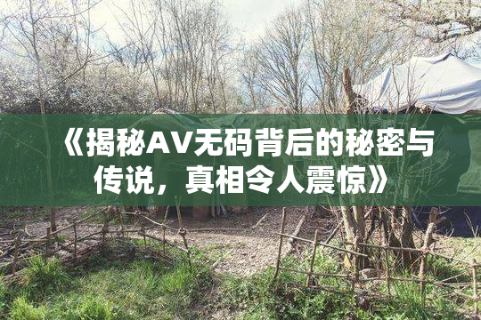 《揭秘AV无码背后的秘密与传说，真相令人震惊》