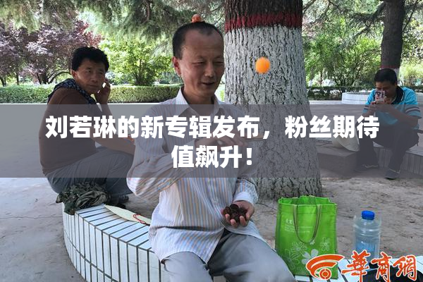 刘若琳的新专辑发布，粉丝期待值飙升！