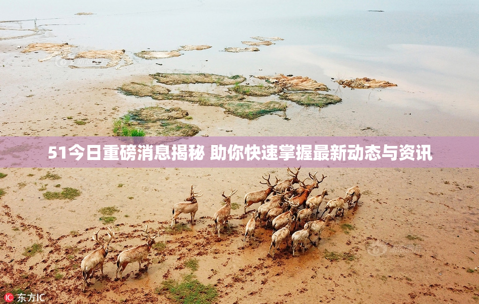 51今日重磅消息揭秘 助你快速掌握最新动态与资讯