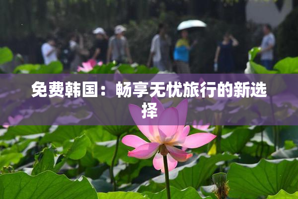 免费韩国：畅享无忧旅行的新选择