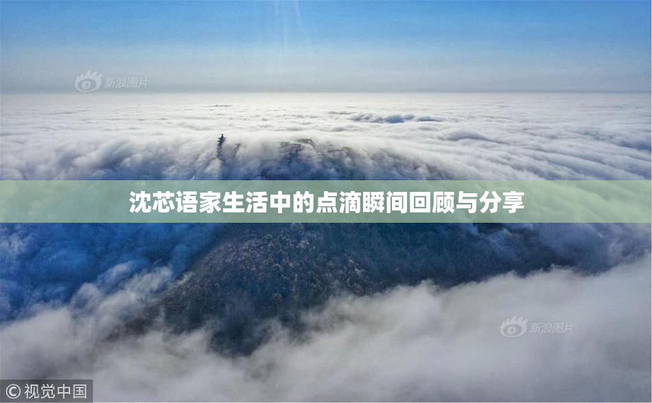 沈芯语家生活中的点滴瞬间回顾与分享