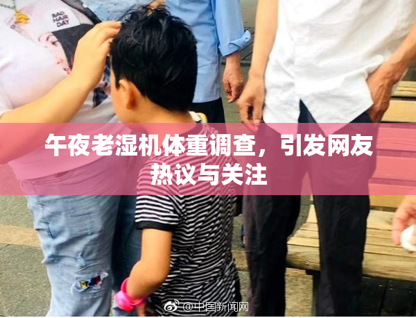 午夜老湿机体重调查，引发网友热议与关注