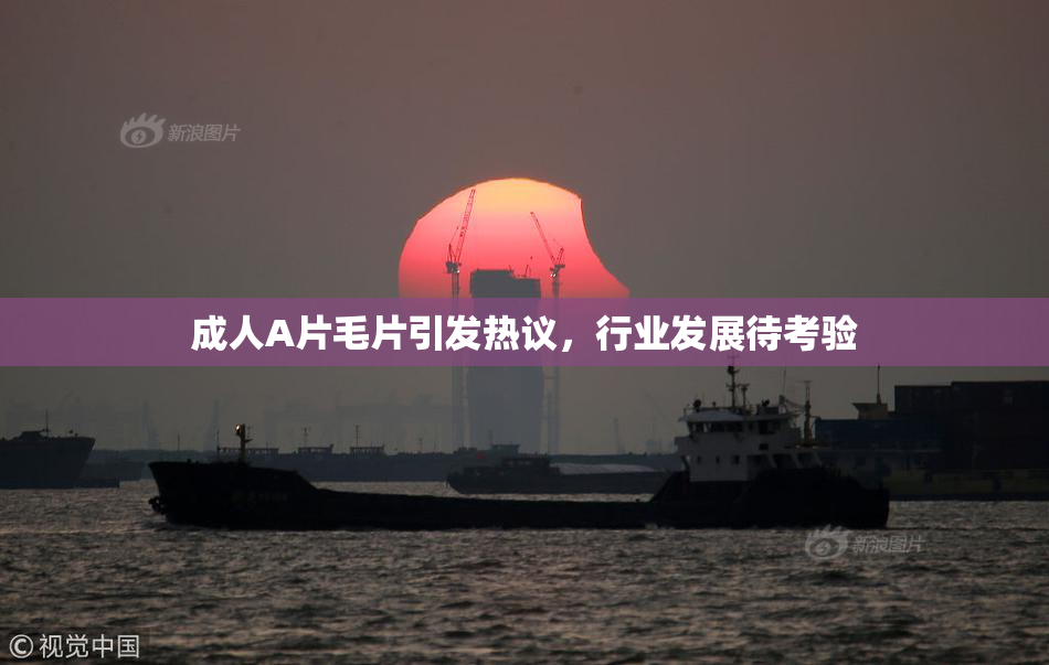 成人A片毛片引发热议，行业发展待考验