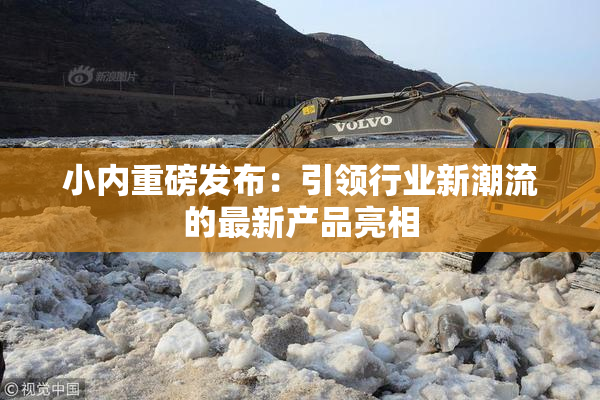 小内重磅发布：引领行业新潮流的最新产品亮相