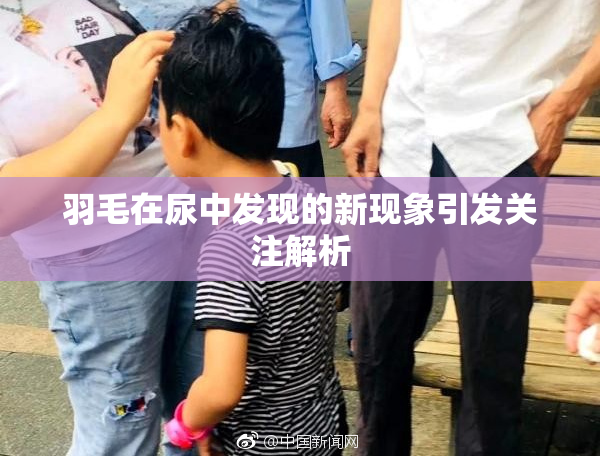 羽毛在尿中发现的新现象引发关注解析
