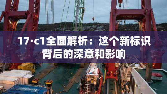 17·c1全面解析：这个新标识背后的深意和影响