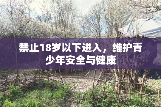 禁止18岁以下进入，维护青少年安全与健康