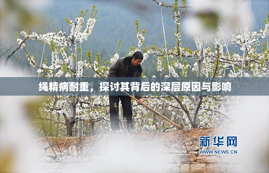绳精病耐重，探讨其背后的深层原因与影响
