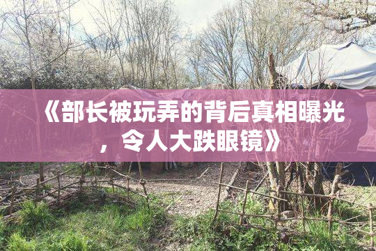 《部长被玩弄的背后真相曝光，令人大跌眼镜》