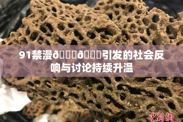 91禁漫🍆🍑引发的社会反响与讨论持续升温