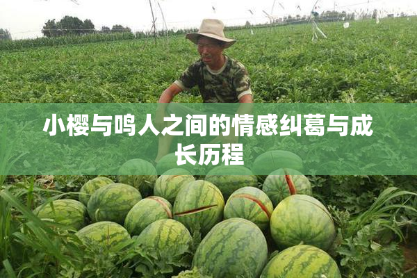 小樱与鸣人之间的情感纠葛与成长历程