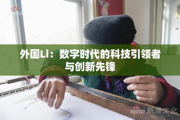 外国Li：数字时代的科技引领者与创新先锋