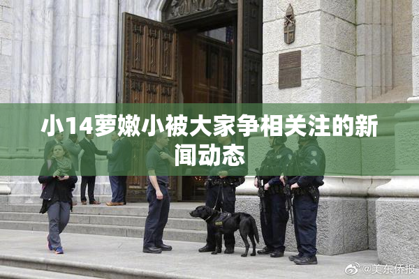 小14萝嫩小被大家争相关注的新闻动态