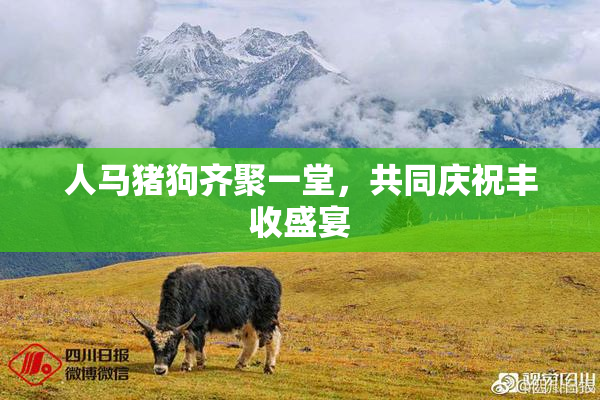 人马猪狗齐聚一堂，共同庆祝丰收盛宴