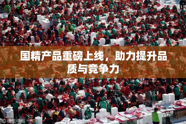 国精产品重磅上线，助力提升品质与竞争力