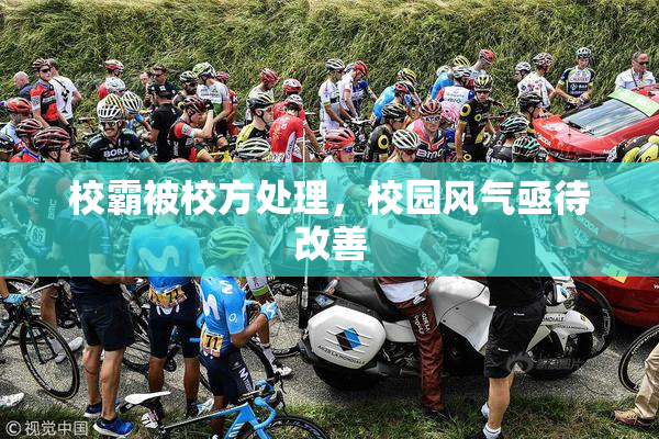 校霸被校方处理，校园风气亟待改善