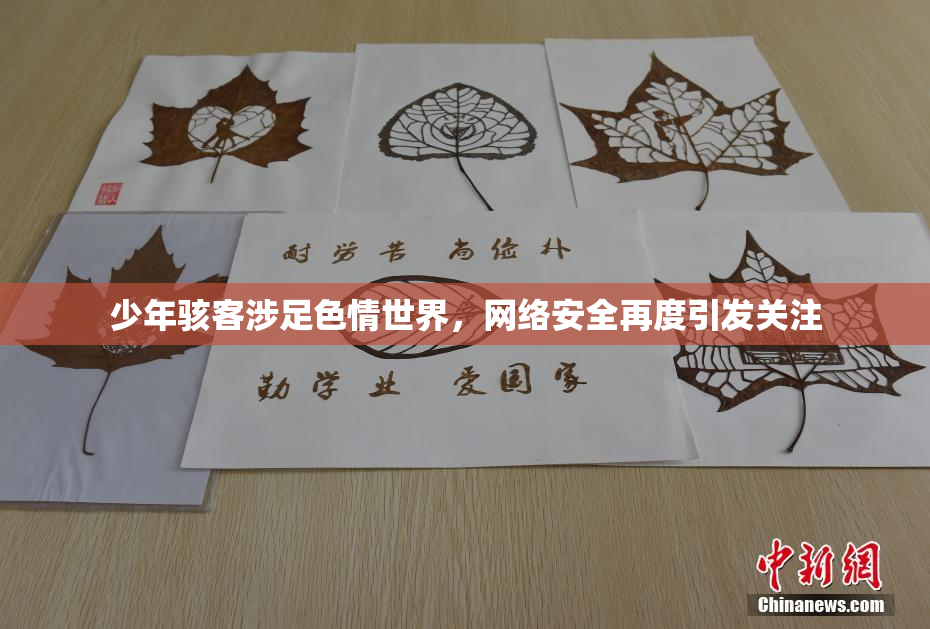 少年骇客涉足色情世界，网络安全再度引发关注