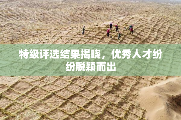 特级评选结果揭晓，优秀人才纷纷脱颖而出