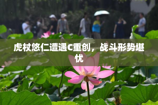 虎杖悠仁遭遇C重创，战斗形势堪忧