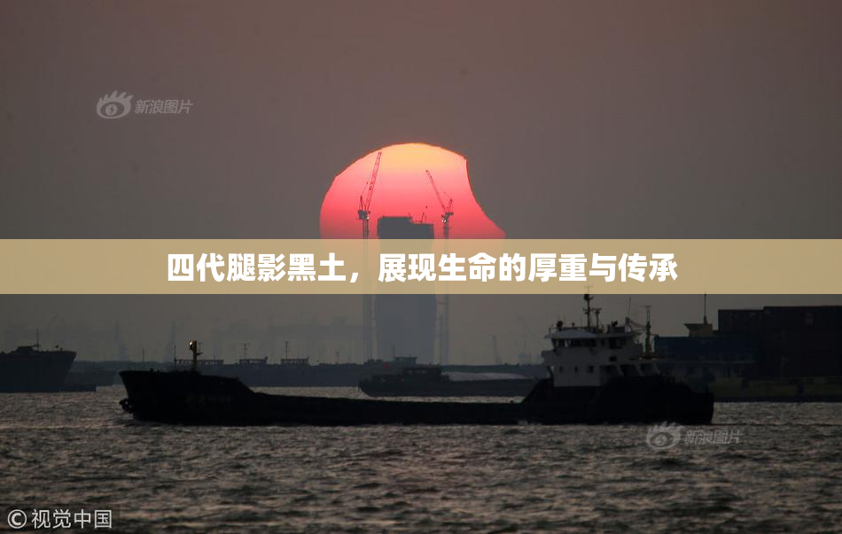 四代腿影黑土，展现生命的厚重与传承