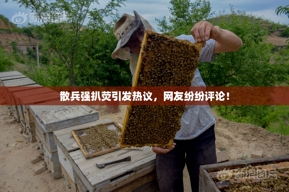 散兵强扒荧引发热议，网友纷纷评论！