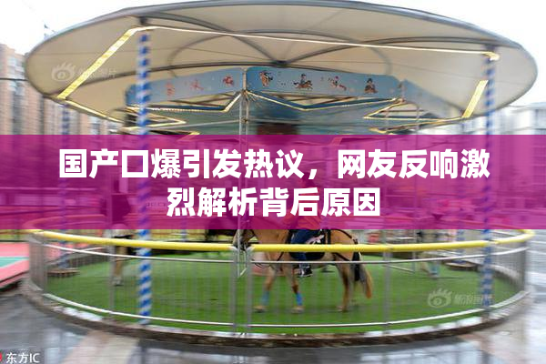 国产囗爆引发热议，网友反响激烈解析背后原因
