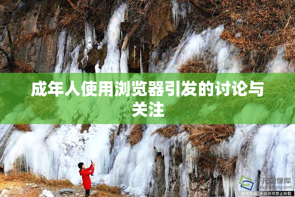 成年人使用浏览器引发的讨论与关注