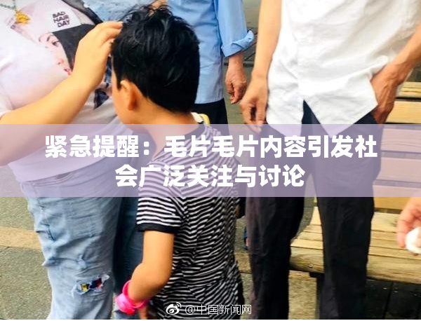 紧急提醒：毛片毛片内容引发社会广泛关注与讨论