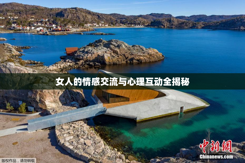 女人的情感交流与心理互动全揭秘