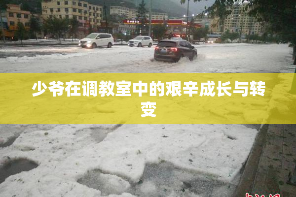 少爷在调教室中的艰辛成长与转变