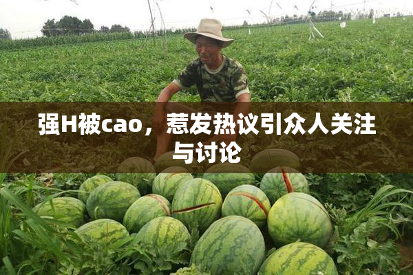 强H被cao，惹发热议引众人关注与讨论