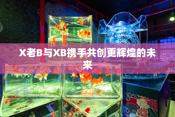 X老B与XB携手共创更辉煌的未来