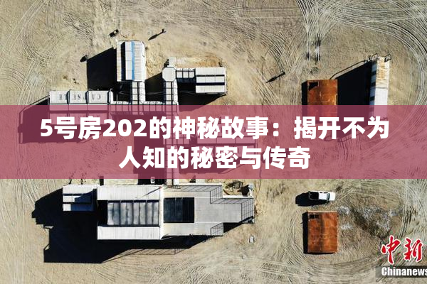 5号房202的神秘故事：揭开不为人知的秘密与传奇