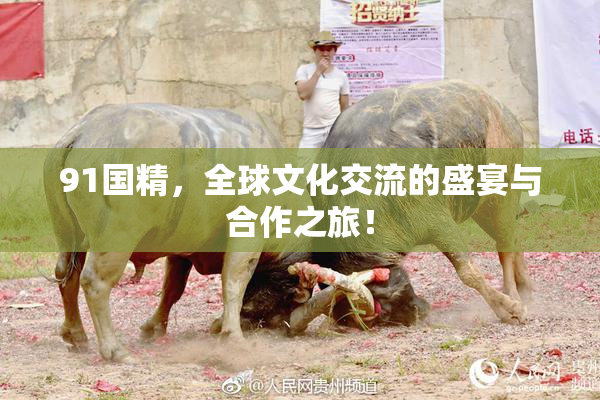 91国精，全球文化交流的盛宴与合作之旅！