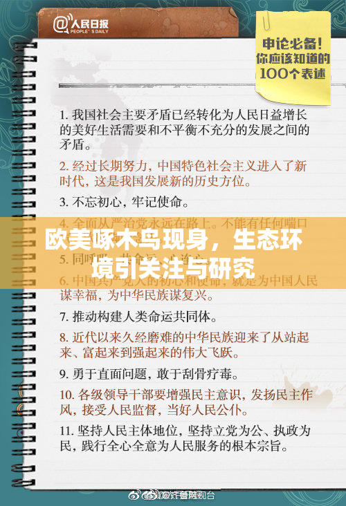 欧美啄木鸟现身，生态环境引关注与研究