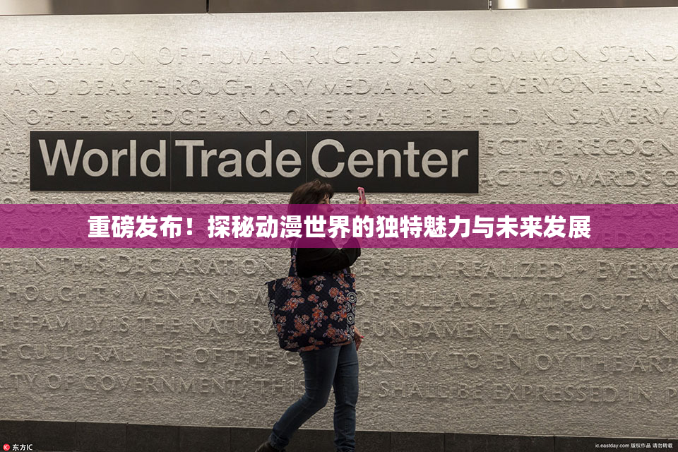 重磅发布！探秘动漫世界的独特魅力与未来发展