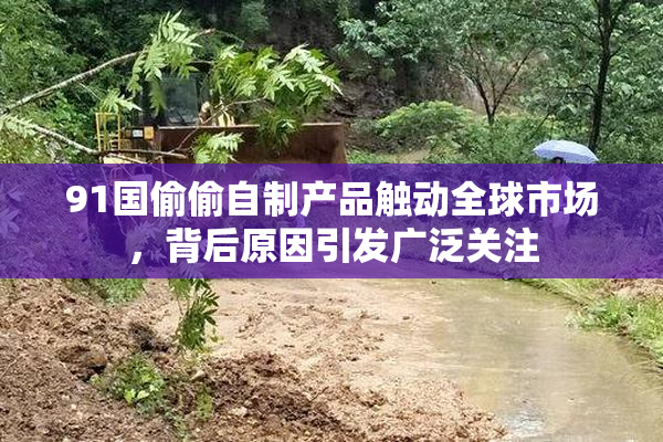 91国偷偷自制产品触动全球市场，背后原因引发广泛关注