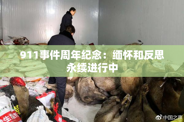911事件周年纪念：缅怀和反思永续进行中