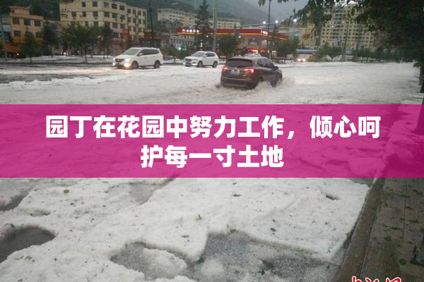 园丁在花园中努力工作，倾心呵护每一寸土地