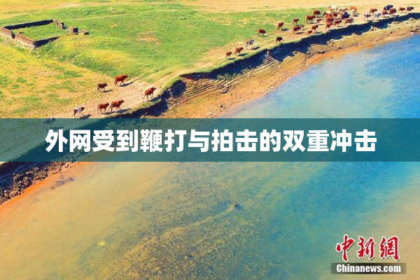 外网受到鞭打与拍击的双重冲击