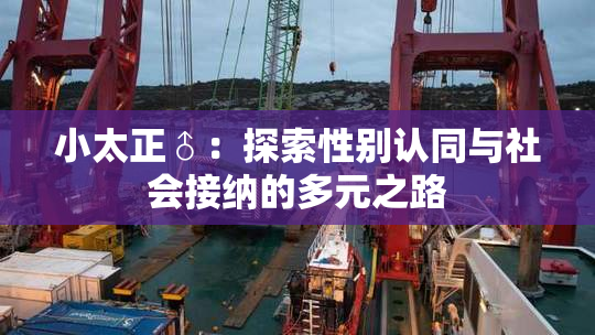 小太正♂：探索性别认同与社会接纳的多元之路