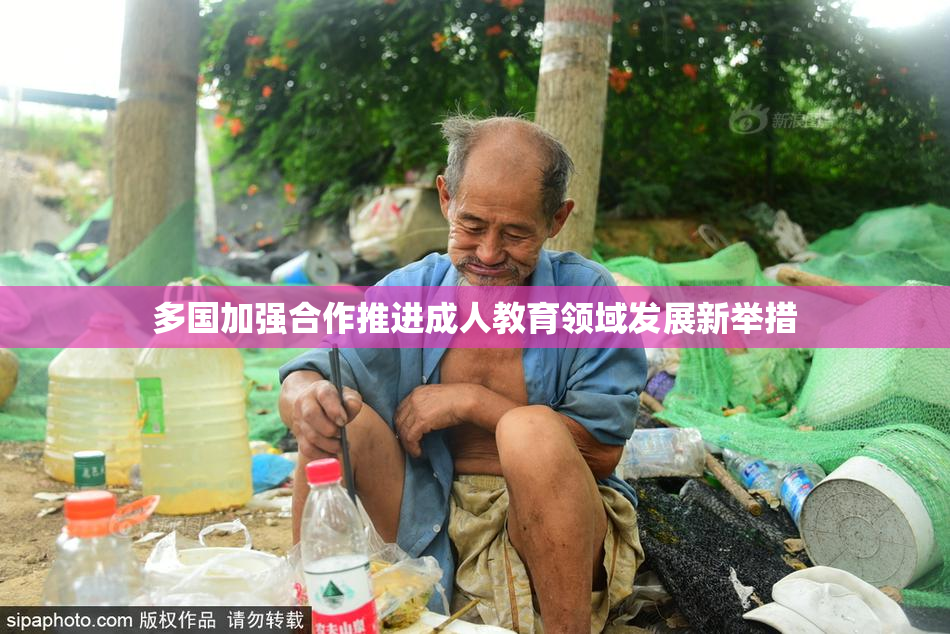 多国加强合作推进成人教育领域发展新举措