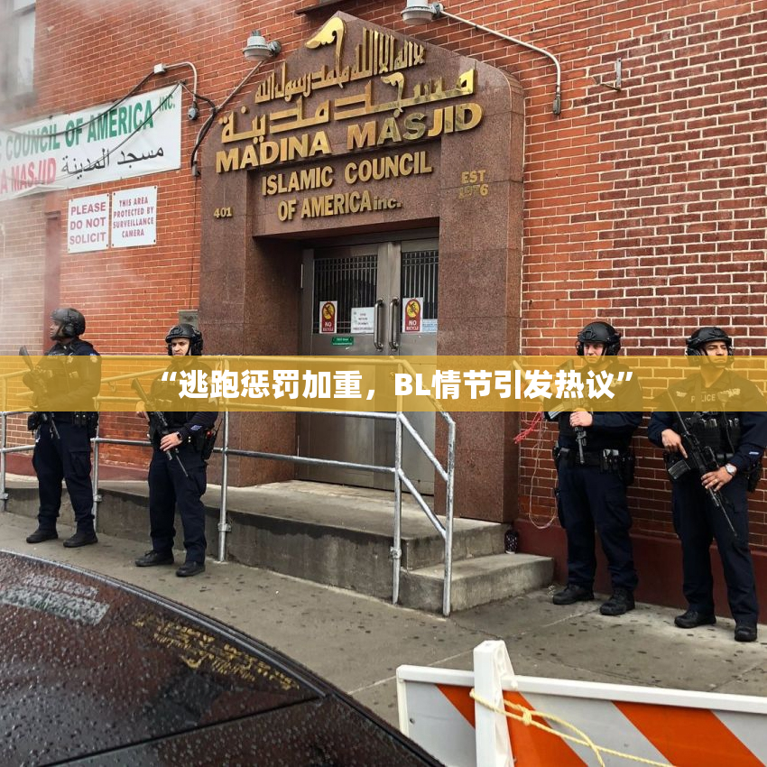 “逃跑惩罚加重，BL情节引发热议”