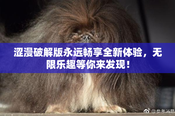 涩漫破解版永远畅享全新体验，无限乐趣等你来发现！
