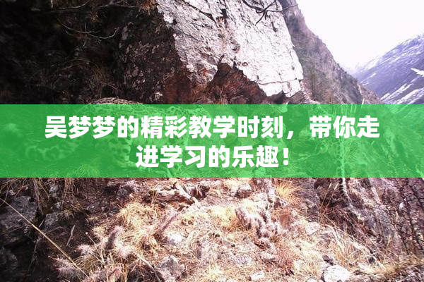吴梦梦的精彩教学时刻，带你走进学习的乐趣！