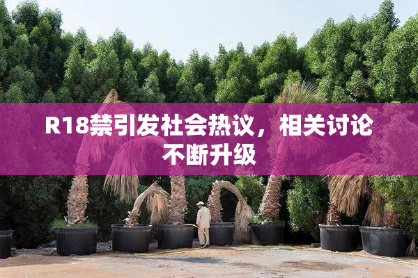 R18禁引发社会热议，相关讨论不断升级