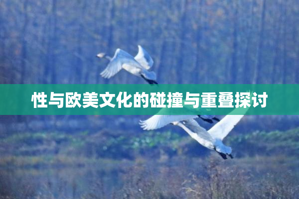 性与欧美文化的碰撞与重叠探讨