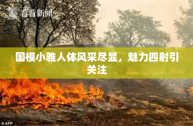 国模小雅人体风采尽显，魅力四射引关注