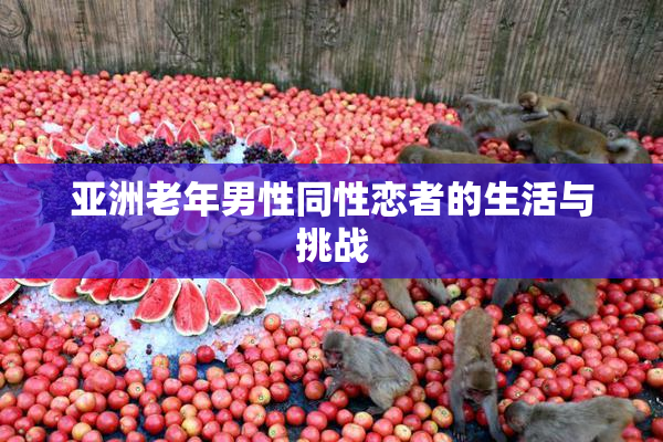亚洲老年男性同性恋者的生活与挑战